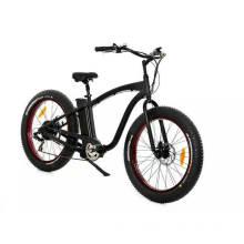 Chinese Adults 48V 500W Fat Tyre Chopper Electric Bike Bicycle